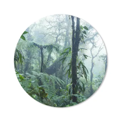 Produktbild von MuchoWow® Mauspad Mousepad Ein nebliger Regenwald in Costa Rica 20x20 cm - Mousepads - Maus Mat - Pad - Mausunterlage - Schreibtischmatte