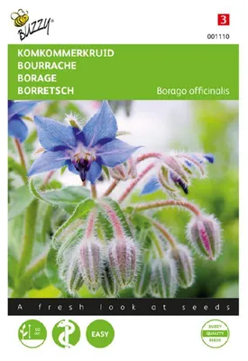 Immagine prodotto di Borragine (Borago officinalis) | Semi di borragine di Buzzy Seeds