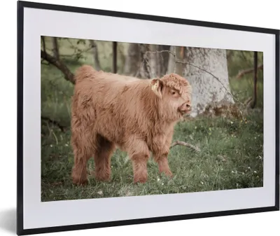 Produktbild von MuchoWow® MuchoWow® Gerahmtes Poster Schottisches Hochlandrind - Licht - Wald 60x40 cm - Poster mit zchwarzem Bilderrahmen - Schlafzimmer - Plakat in Rahmen - Drucken
