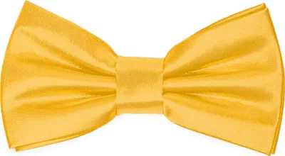 Produktbild von Ladeheid Kinder Jungen Fliege - Vorgebunden Glänzende BKS (10cm x 5cm)