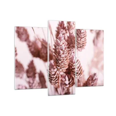 Produktbild von Bilder auf glas - 3 Teile - Getrocknet Blume Eco - 130x100cm - Glasbilder - Wandbilder - Bilder - zum Aufhängen bereit - Wanddekoration aus Glas - Glas Bilder - Wandbild auf Glas - GCB130x100-4912