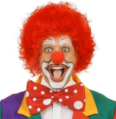 Produktbild von Rote Clown Perücke Afro Lockenperücke rot