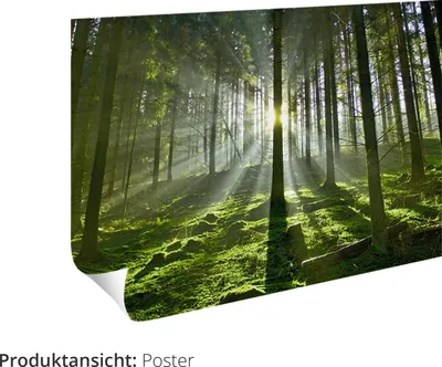 Produktbild von ARTland Poster Die Elster im Tann Größe: 45x60 cm