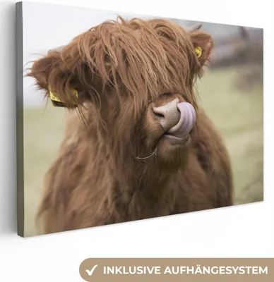 Produktbild von MuchoWow® - Leinwandbilder - Schottischer Highlander - Braun - Tiere, Wandbild, Wanddeko Bilder Wohnzimmer, 120x80cm