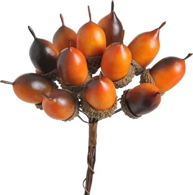 Image de bouquet de 12 glands de 12 cm | QXL1977-15