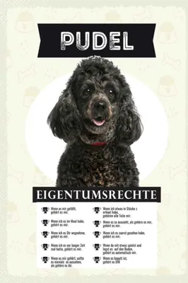 Produktbild von vianmo Holzschild 30x20 cm Pudel Eigentumsrechte