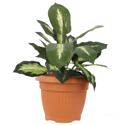 Produktbild von Blumentopf Rund Übertopf Blumenkasten Abmessungen (DxH) 50 cm x 39,0 cm Volumen 38 L Farbe Terrakotta Kunststoff 12 Große Pflanzkübel traditionell