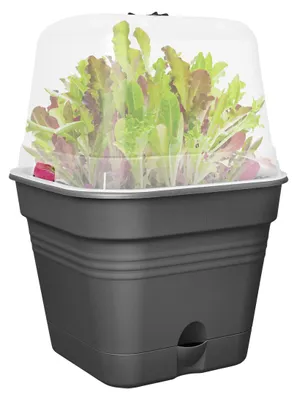 Obrázek produktu pro elho 8711904515386, Plast, Černá, Čtverec, 100%, 100%, 3,9 l