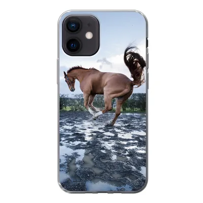 Produktbild von MuchoWow® Handyhülle Schutzhülle Hülle für iPhone 12 Ein bockendes Pferd in den Pfützen Silikon Softcase Handy Hülle - Schutzhülle