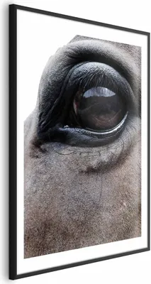 Produktbild von Posterpapier Poster - Honest Eyes 21x30 cm Tiere g-A-0201-ao-a