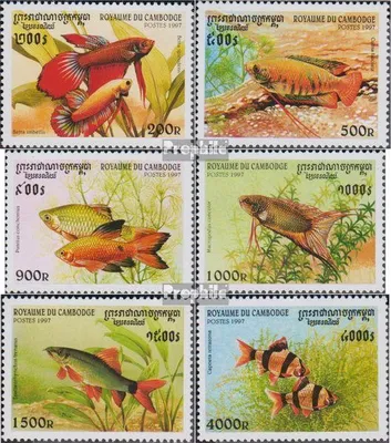 Produktbild von Briefmarken Kambodscha 1997 Mi 1762-1767 (kompl.Ausg.) postfrisch Zierfische