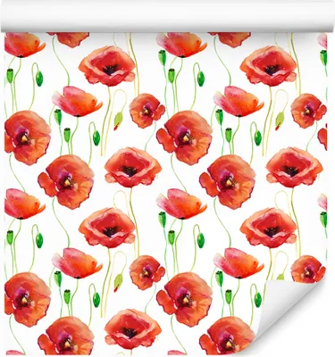 Obrázek produktu pro 10m VLIES TAPETE Roll Příroda Flora Poppies Akvarel Louka XXL