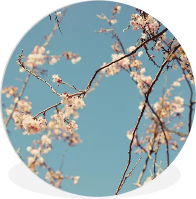 Produktbild von MuchoWow® Rundes Wandbild - Runde Bilder Blüte Ø 30 cm Kreis Wanddekoration Kunststoff - Wandkreis - Wandschmuck - Schlafzimmer - Bilder - Der Kreis - Kunst für die Wohnung - Plastik - Kunstdruck - Wandbild