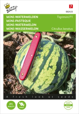 Produktbild von Wassermelone Tigrimini | Wassermelonensamen von Buzzy Seeds