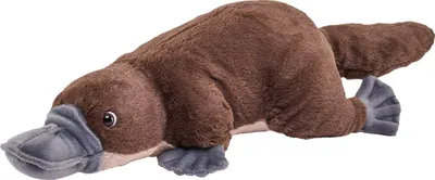 Produktbild von Wild Republic Schnabeltier Stofftier - braun - Plusch - 30 cm