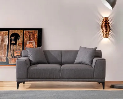 Produktbild von Hanah Home, Petra- ARE1525, Anthrazit, Schlafsofas, Rahmen: Buchenholz / Spanplatte