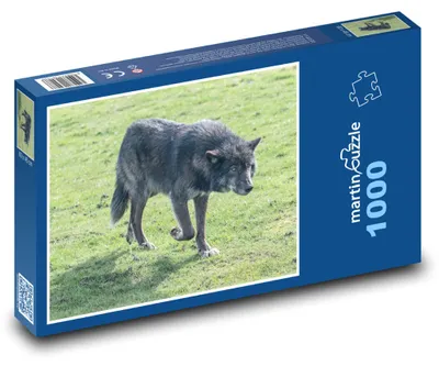 Zdjęcie produktu dla Puzzle 1000 Wilk w dzikiej przyrodzie - martinpuzzle