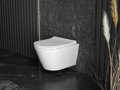 Produktbild von WC Spülrandlos Kurzform Wand Hänge WC Taharet Dusch-WC Toilette Softclose ,49 cm Kurzform Bidet-funktion