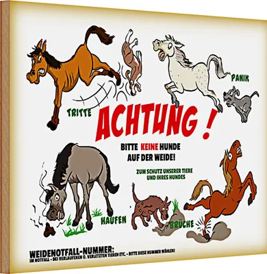 Produktbild von Holzschild Spruch 30x20cm Achtung keine Hunde auf Weide