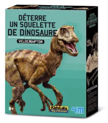 Produktbild von DAM 5663234, 8 Jahr(e), Mehrfarbig