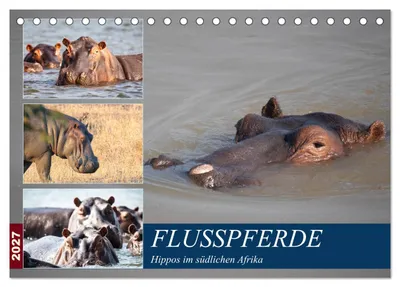 Produktbild von Hippos im südlichen Afrika (Tischkalender 2027 DIN A5 quer), CALVENDO Monatskalender