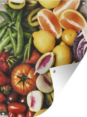 Produktbild von MuchoWow® 60x80 cm Outdoor-Poster Gartendeko Sichtschutz Garten Poster für den Garten  Obst - Gemüse - Farben