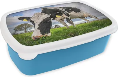 Obrázek produktu pro KitchenYeah® Lunchbox Box na oběd 17x11 cm Kráva - Tráva - Farma - Příroda Dětský svačinový box - Oběd - Plastový - Chlebová plechovka - Sendvičový box - Obědový box pro děti
