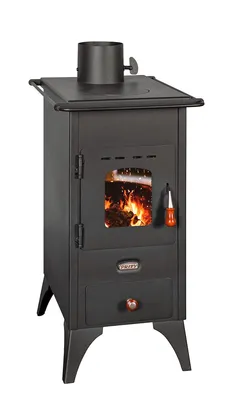 Image de Poêle à bois Mini SP 5,2 kW, bûches