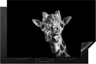 Produktbild von KitchenYeah© Herdabdeckplatte Giraffe vor schwarzem Hintergrund in schwarz und weiß , 81x52cm, Küche Deko, Glaskeramikkochfeld Herdabdeckung, Abdeckplatte fùr Kochfeld