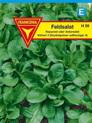 Produktbild von Feldsalat Dunkelgrüner vollherzigerr Großpackung