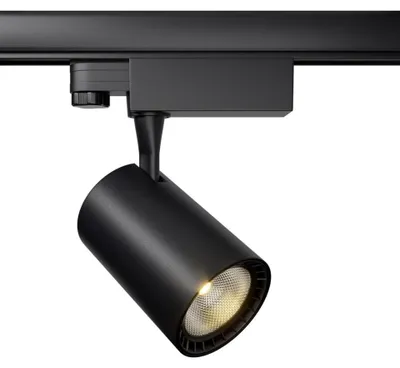 Immagine prodotto di Maytoni TR029-3-10W4K-B, LED, 4000 K, 800 lm