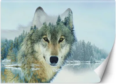 Produktbild von Vlies fototapete Wolfssee 250x175 cm Feeby Blau inkl. Kleber einfache Montage