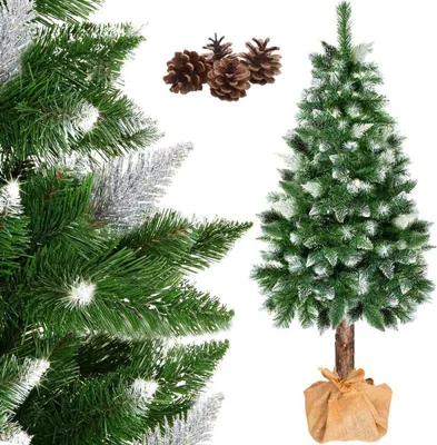 Zdjęcie produktu dla Choinka bożonarodzeniowa Sosna diamentowa na pniu 220 cm