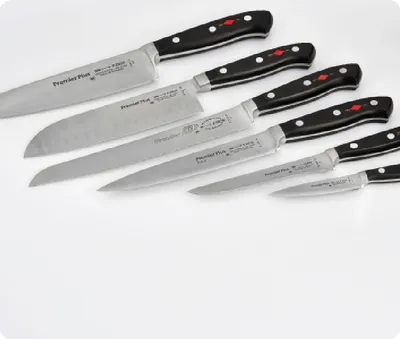 Image de Dick Ausbeinmesser Premier Plus Fleischermesser Messer 13 cm Klinge Stahl