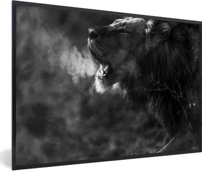 Produktbild von MuchoWow® Gerahmtes Poster Löwe - Wild - Gras 90x60 cm - Poster mit Schwarzem Bilderrahmen Wandposter Rahmen Foto Bilder - Fotorahmen - Foto-Plakat