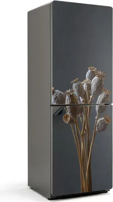 Zdjęcie produktu dla Pęczek suchych maków - Magnetyczna osłona na lodówkę - Magnetyczna osłona na lodówkę - Folia magnetyczna na drzwi lodówki - 70x190 cm - Samoprzylepna tablica magnetyczna - Folia magnetyczna na drzwi lodówki