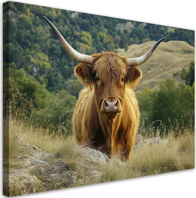 Produktbild von Leinwandbild Highland-Kuh Landschaft Berge 120x80 Feeby Braun bild für die wand bereit zum aufhängen