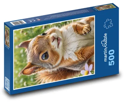 Obrázok produktu pre martinpuzzle – Puzzle 500 – Vevericka