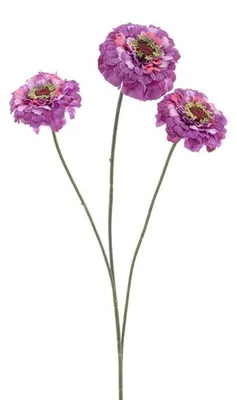 Produktbild von Warentuin Producten