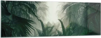 Produktbild von Bilder auf glas - Einteilig - Dschungel Blätter Palmen - 160x50cm - Glasbilder - Wandbilder - Bilder - zum Aufhängen bereit - Wanddekoration aus Glas - Glas Bilder - Wandbild auf Glas - GAB160x50-4504