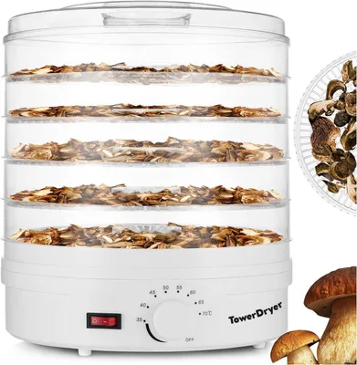 Produktbild von Dörrautomat 600W Dörrgerät mit 5 Etagen 35-70°C Obsttrockner Pilztrockner Dehydrator