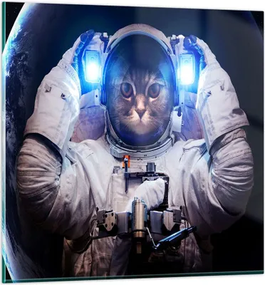 Produktbild von Bilder auf glas - Kosmonaut Katze - 30x30cm - Glasbilder - Wandbilder - Kunstdruck - zum Aufhängen bereit - Wanddekoration aus Glas - Glas Bilder - Wandbild auf Glas - Einteilig - GAC30x30-3734