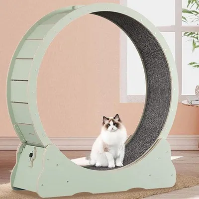 Obrázek produktu pro Běžecký pás pro kočky - Fitness kolo pro kočky - Udržujte domácí kočky aktivní - Vylepšené bezpečnostní prvky - 96 cm x 36,5 cm x 107 cm - Zelená barva