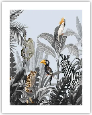 Produktbild von Poster - Poster ohne Rahmen - Dschungel Tiere Tukane - 40x50 cm - Wand Bild - Wanddeko - Wandbilder - Kunstposter - Wandposter - Bilder - Kunstdruck - Wanddekoration - Wandbild - P2XPA40x50-4662