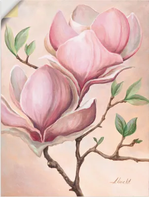 Produktbild von ARTland Wandbild, selbstklebend Magnolienblüten Größe: 60x80 cm