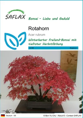 Obrázok produktu pre SAFLAX - červený javor - Acer rubrum - 20 Semená