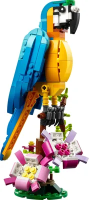 Obrázok produktu pre Stavebnica LEGO Creator 31136 Exotický papagáj (253 dielikov)