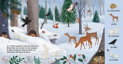 Zdjęcie produktu dla Mein erstes Natur-Wimmelbuch: Tiere im Wald