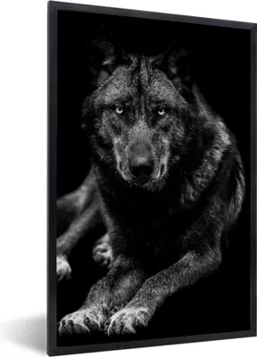 Produktbild von MuchoWow® Gerahmtes Poster Tiere - Wolf - Schwarz - Weiß - Porträt 20x30 cm - Poster mit Schwarzem Bilderrahmen Wandposter Rahmen Foto Bilder - Drucken - Bilder Poster im Rahmen