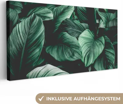 Produktbild von MuchoWow® - Leinwandbilder - Dschungel - Blätter - Tropisch - Pflanzen - Natur, Wandbild, Wanddeko Bilder Wohnzimmer, 80x40 cm